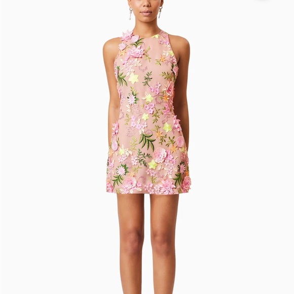 elliatt aella mini dress Aella Embroidered Mini Dress In Pink